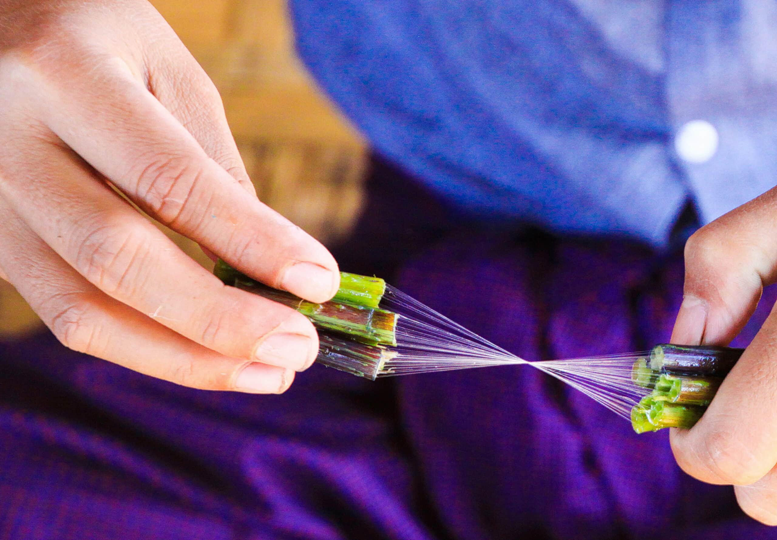 Lotus Silk ⋆ Samatoa Lotus Textiles ⋆ A delicate blend of lotus, Silk Fabric