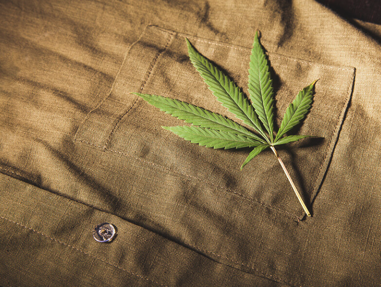 hemp - Why does hemp promise to regenerate the fashion industry? - Pearls Magazine