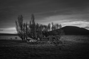 Coexistencia 6 - Patagonia : Alejandra Gottelli's chronicle on the footprints of the wool industry - Pearls Magazine